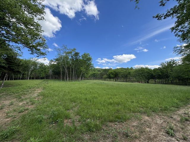 9205 Bowles Rd, Rockvale, TN 37153