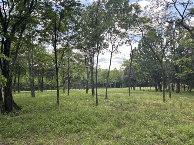 9205 Bowles Rd, Rockvale, TN 37153