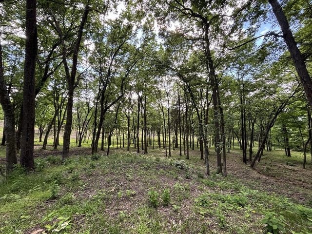 9205 Bowles Rd, Rockvale, TN 37153