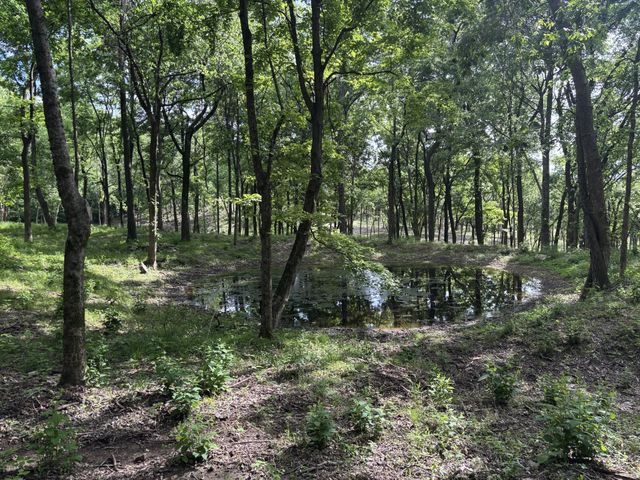 9205 Bowles Rd, Rockvale, TN 37153