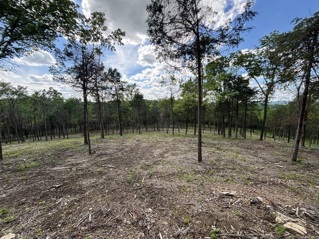 9205 Bowles Rd, Rockvale, TN 37153