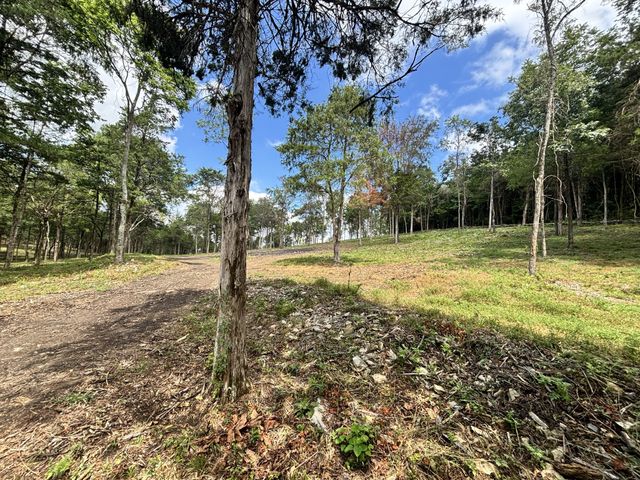 9205 Bowles Rd, Rockvale, TN 37153