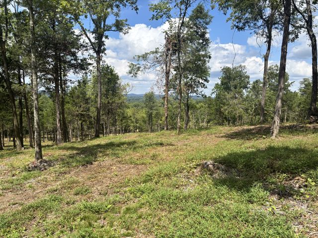 9205 Bowles Rd, Rockvale, TN 37153