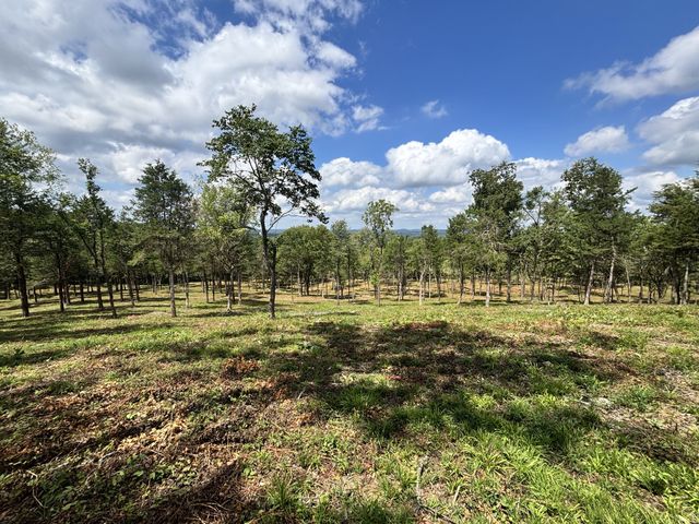 9205 Bowles Rd, Rockvale, TN 37153