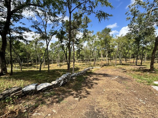 9205 Bowles Rd, Rockvale, TN 37153