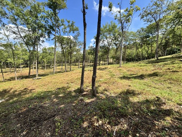 9205 Bowles Rd, Rockvale, TN 37153