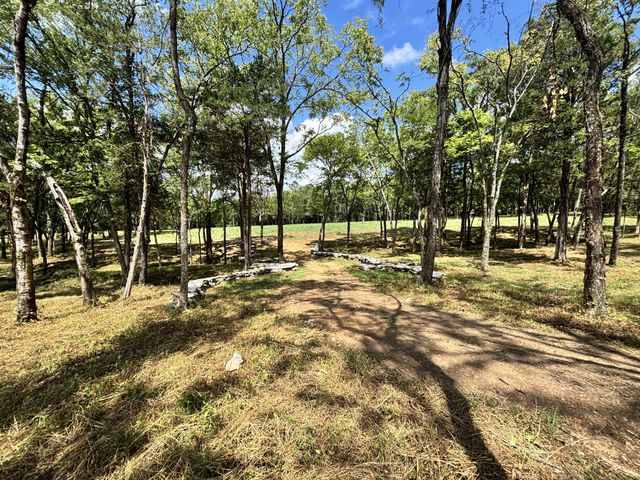 9205 Bowles Rd, Rockvale, TN 37153