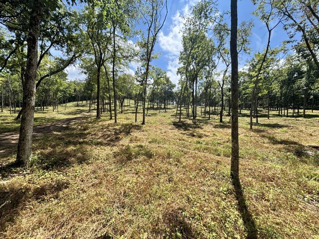 9205 Bowles Rd, Rockvale, TN 37153