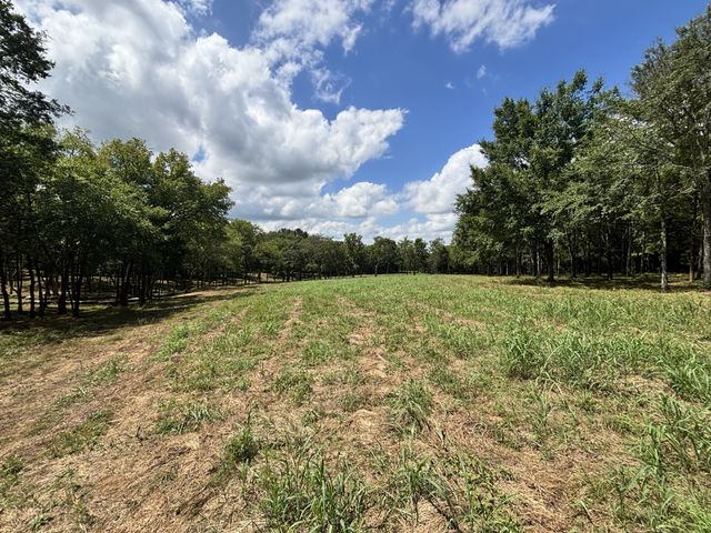 9205 Bowles Rd, Rockvale, TN 37153