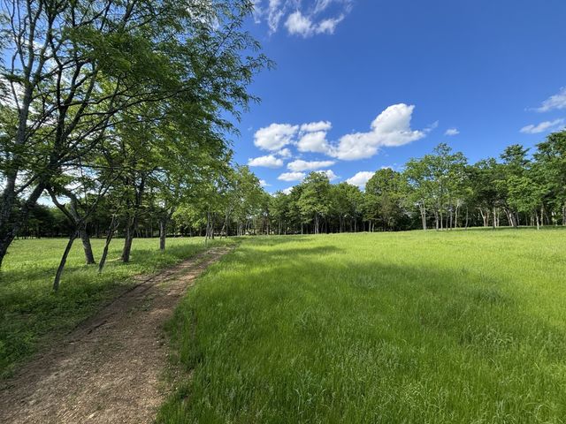 9205 Bowles Rd, Rockvale, TN 37153