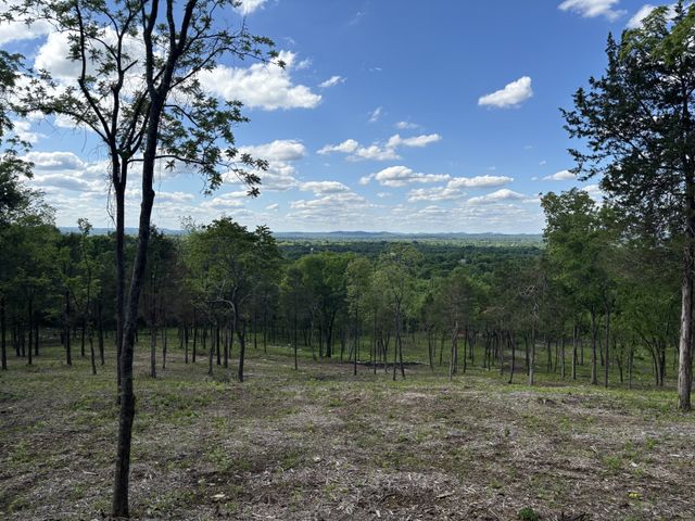 9205 Bowles Rd, Rockvale, TN 37153