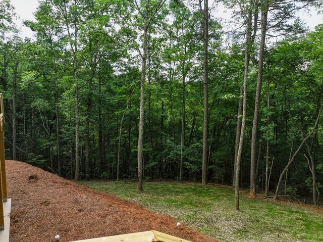 257 Gallery Court, Ellijay, GA 30540