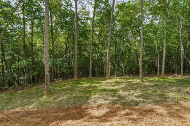 257 Gallery Court, Ellijay, GA 30540