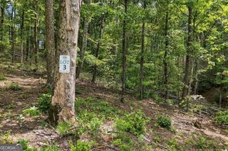 3 Turkey Spur Drive, Ellijay, GA 30540