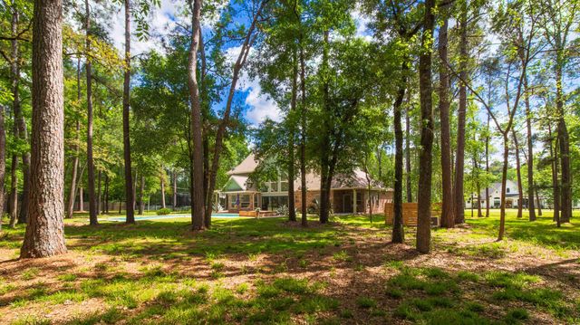 10626 Crystal Cove Drive, Magnolia, TX 77354
