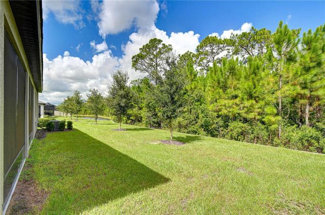 10577 BANYAN BREEZE BOULEVARD, Land O Lakes, FL 34638