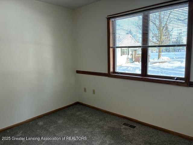 308 N Swegles Street, St. Johns, MI 48879