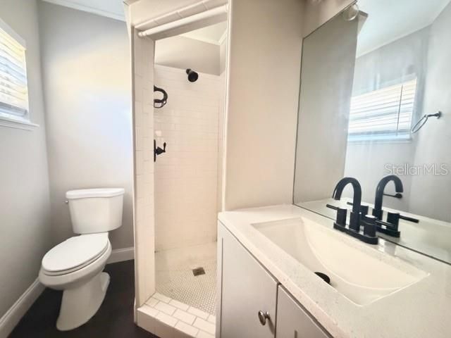 704 W 11TH AVENUE, Mount Dora, FL 32757