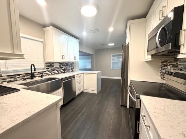 704 W 11TH AVENUE, Mount Dora, FL 32757