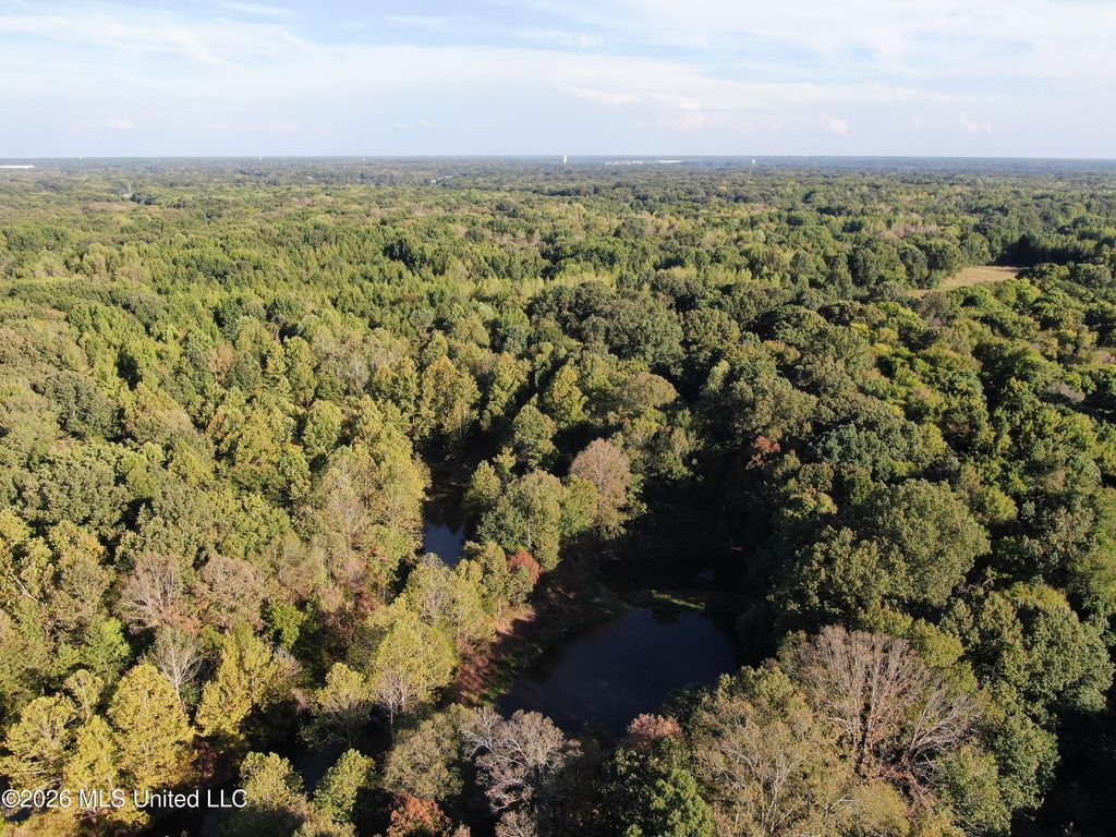 7 Star Landing Road, Nesbit, MS 38651 — photo 2