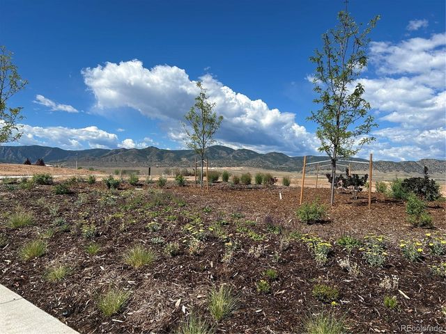 9204 Star Fall Circle, Littleton, CO 80125