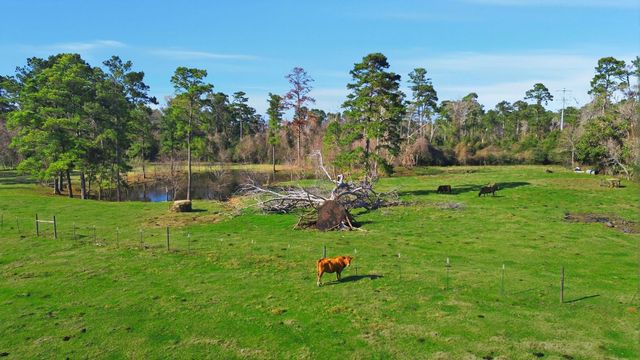 13646 Country Pine Court, Tomball, TX 77375