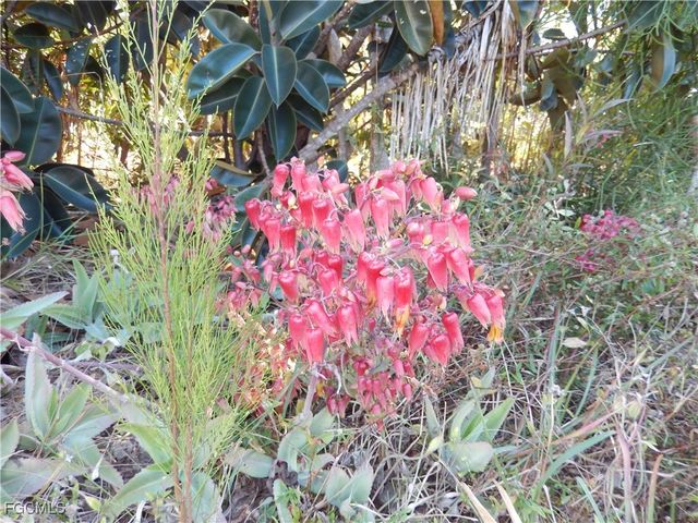 222 SE 46th TER, Cape Coral, FL 33904