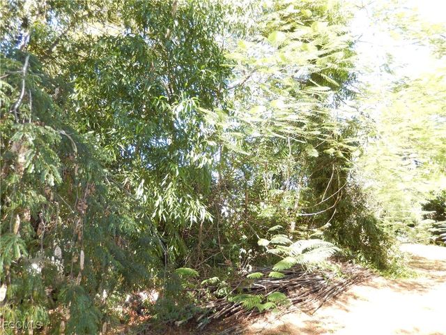 222 SE 46th TER, Cape Coral, FL 33904