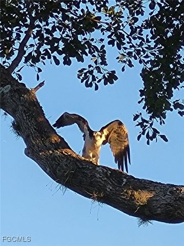 222 SE 46th TER, Cape Coral, FL 33904