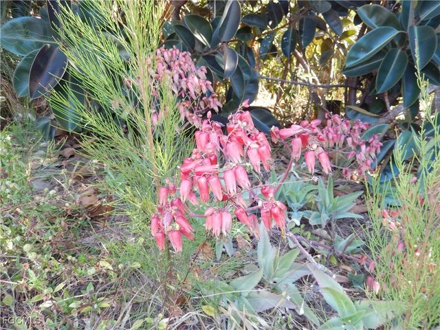 222 SE 46th TER, Cape Coral, FL 33904