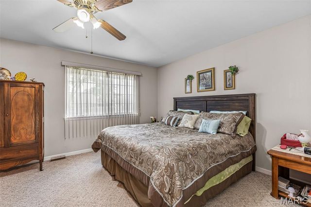 14 Pheasant Drive, Farmington, MO 63640