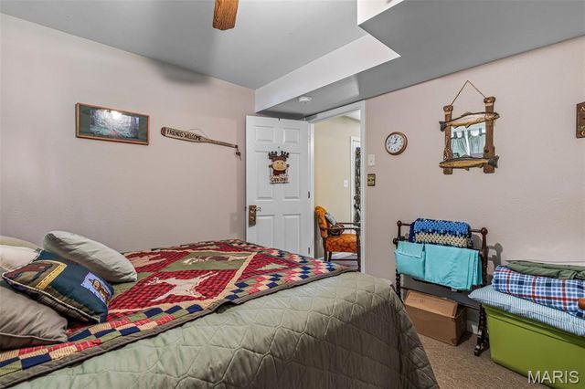 14 Pheasant Drive, Farmington, MO 63640