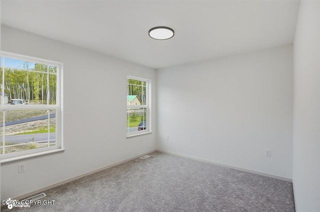 1641 S Rushing Stream Circle, Wasilla, AK 99623