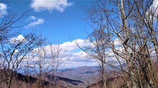Lot 1 A Wild Turkey Drive, Whittier, NC 28789