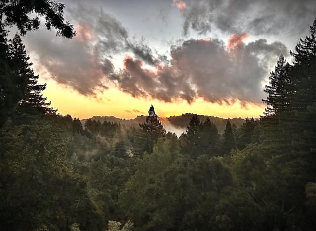 16000 Redwood Lodge Road, Los Gatos, CA 95033