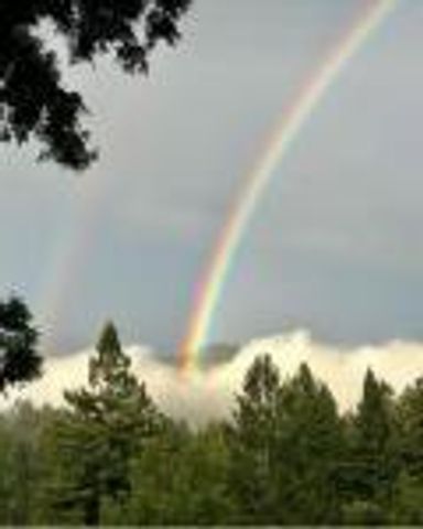16000 Redwood Lodge Road, Los Gatos, CA 95033