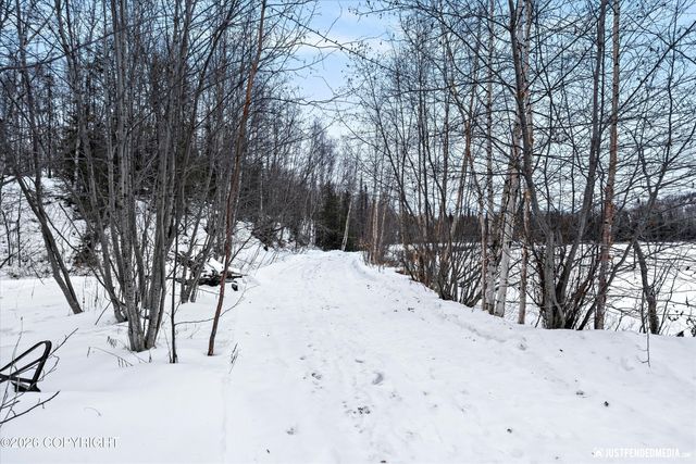 L13A Rileys Cove, Big Lake, AK 99652