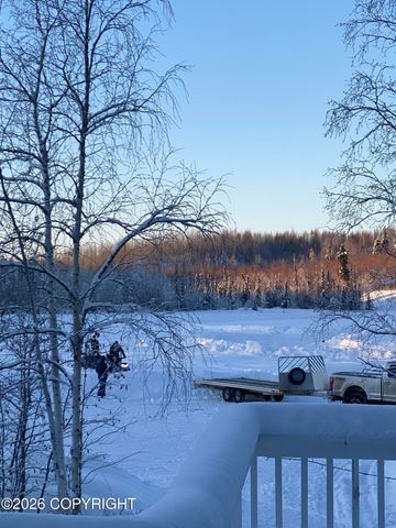 L13A Rileys Cove, Big Lake, AK 99652