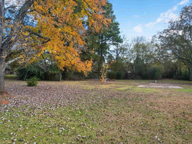 1103 Webb Street, Daingerfield, TX 75638