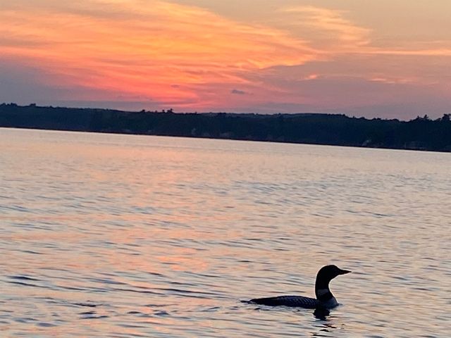 92 Cole Road, Northwood, NH 03261