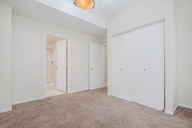 7037 S Crandon Avenue 219, Chicago, IL 60649