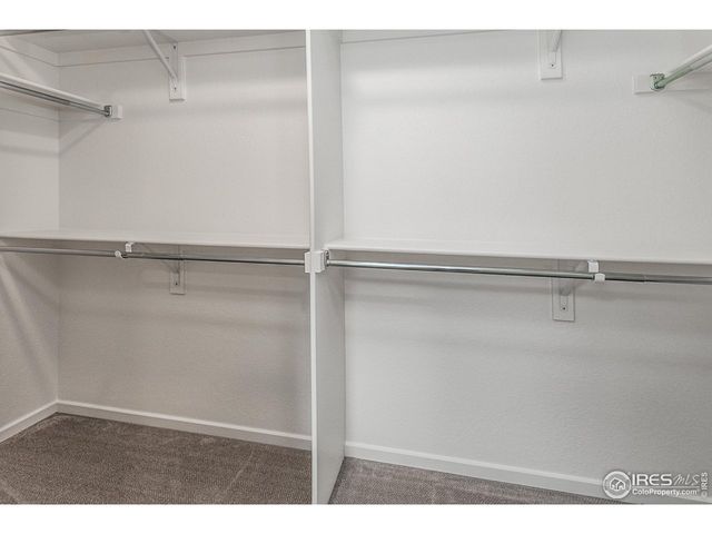 3171 Conquest St, Fort Collins, CO 80524