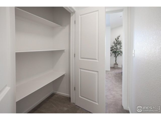 3171 Conquest St, Fort Collins, CO 80524