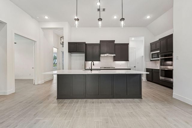 26304 W Outrider Banks, Montgomery, TX 77316