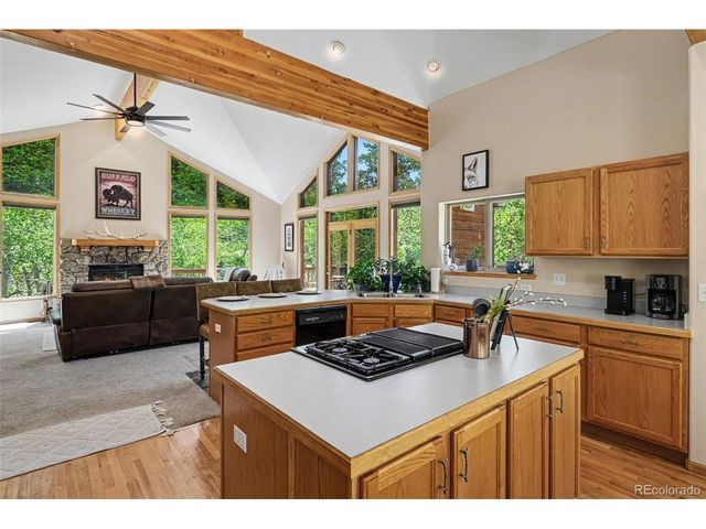1211 Hughesville Rd, Black Hawk, CO 80422