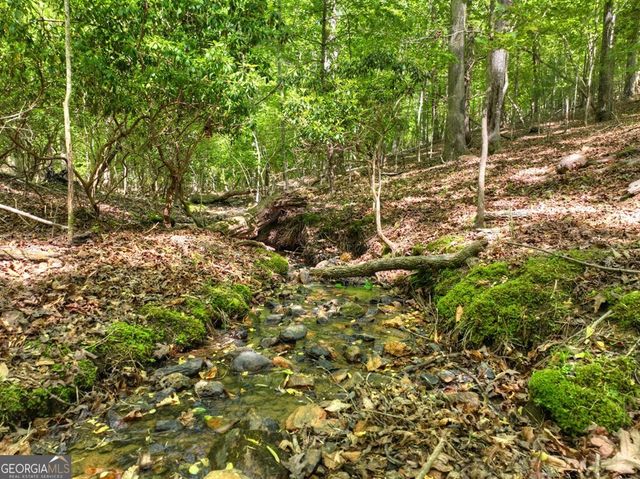 40 Cadet Court, Ellijay, GA 30540