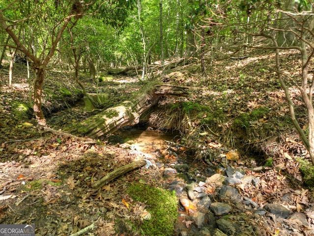 40 Cadet Court, Ellijay, GA 30540