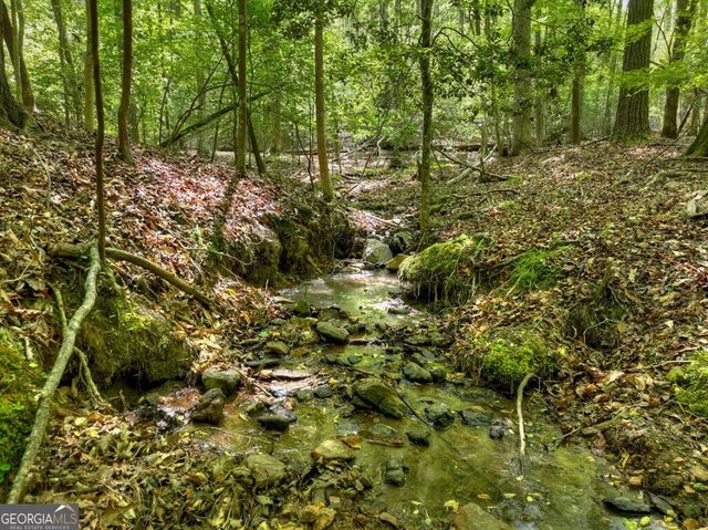 40 Cadet Court, Ellijay, GA 30540