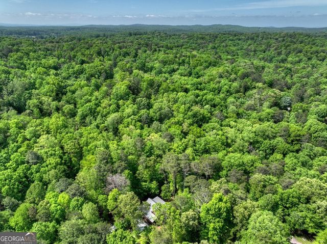 40 Cadet Court, Ellijay, GA 30540