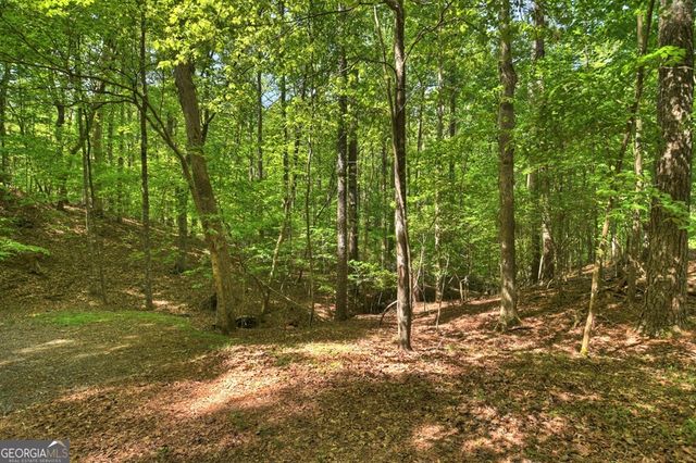 40 Cadet Court, Ellijay, GA 30540
